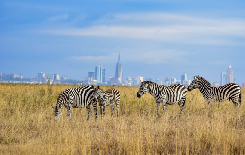 Nairobi National Park Group Joining Game Drive